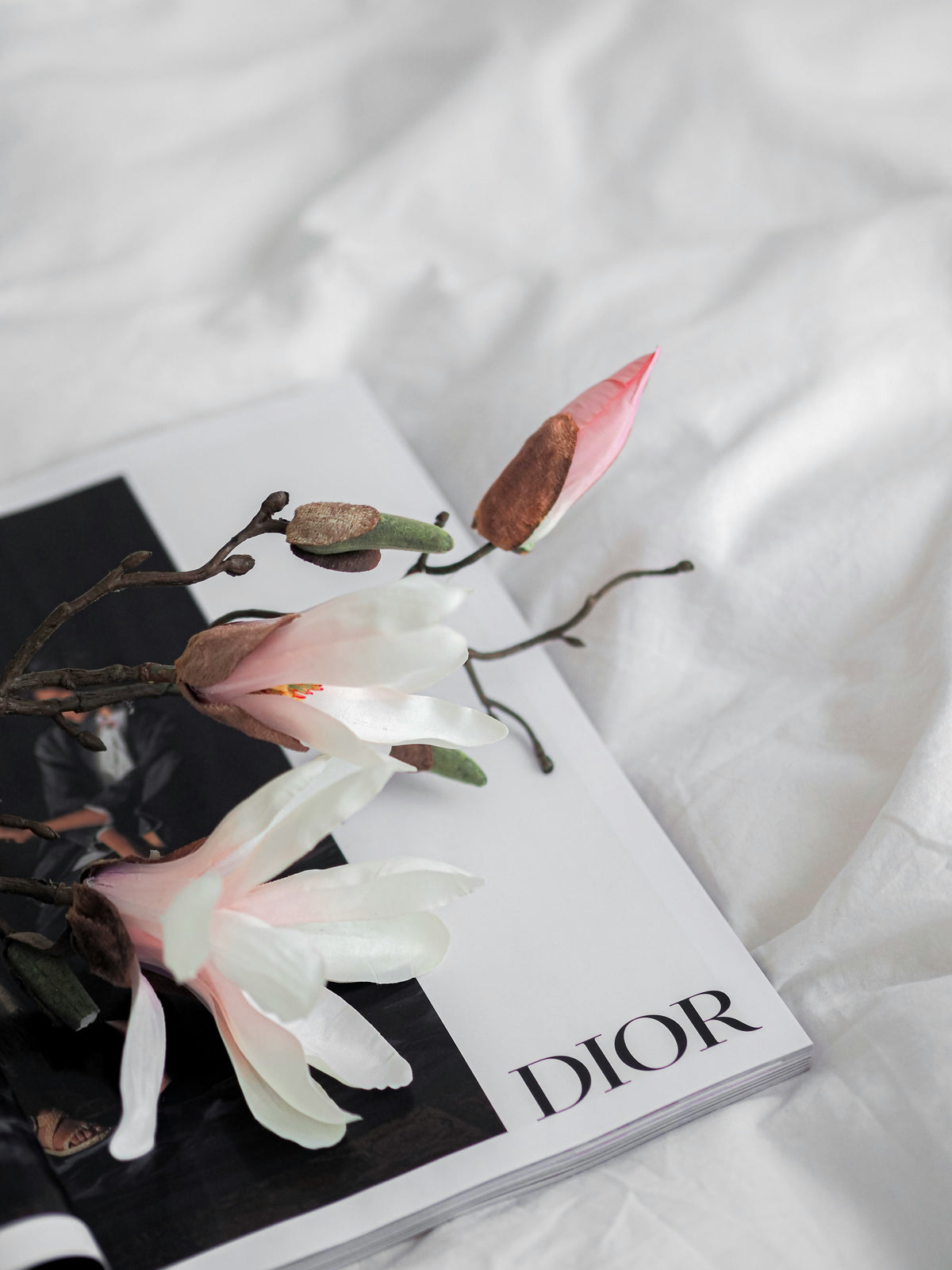 Fashion magazine and pink magnolias on white linen